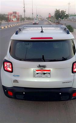 جيب رينيجيد